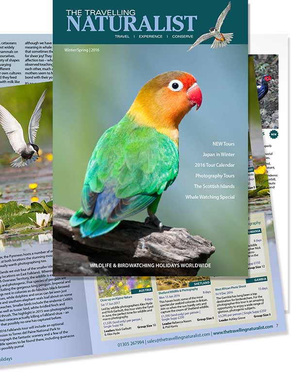 Pages from The Travelling Naturalist’s Winter/Spring 2016 newsletter