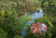 Macaw Lodge in Costa Rica.
